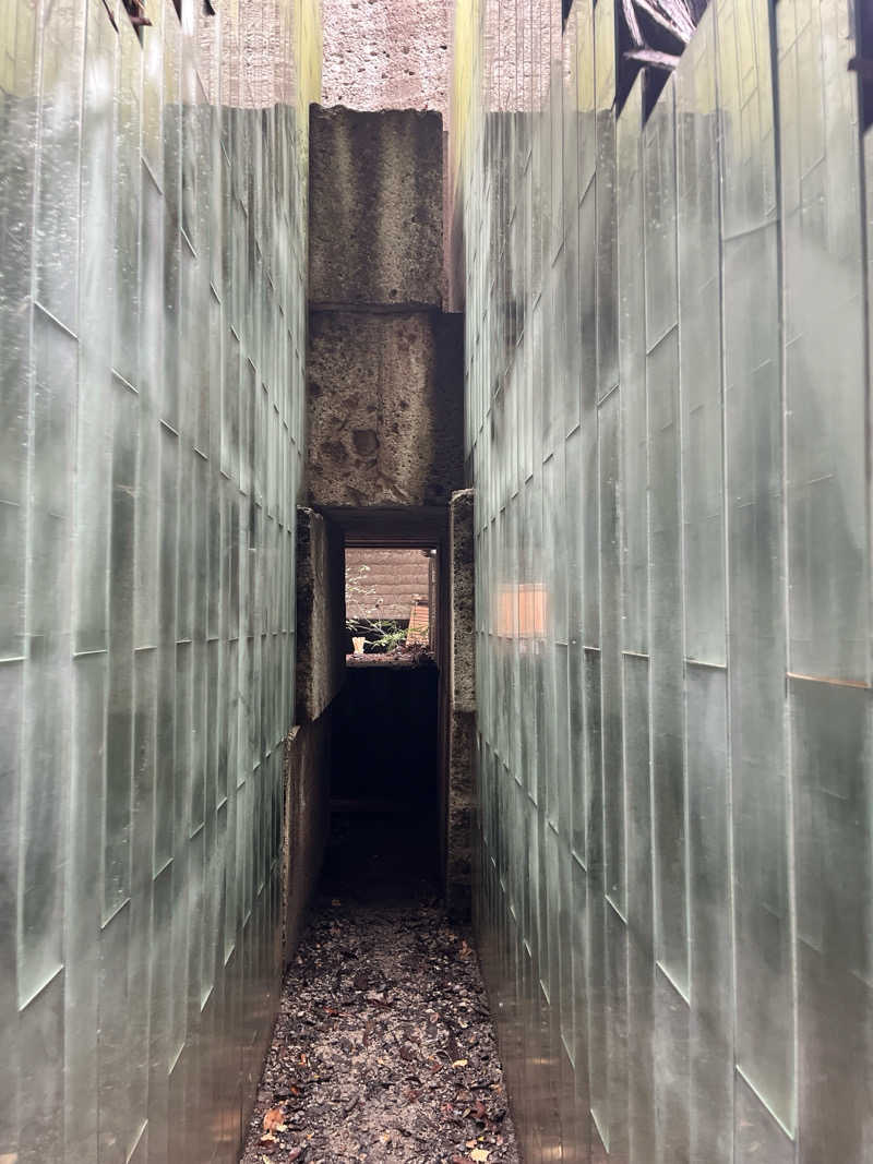 どらさんの大谷元気炉 六号基 |AZUMAYAのサ活写真