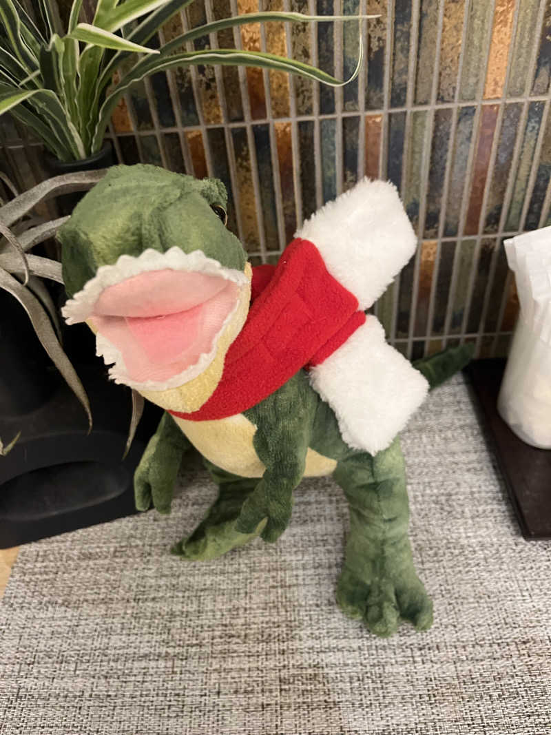 どらさんの羽二重の湯 ドーミーイン福井のサ活写真