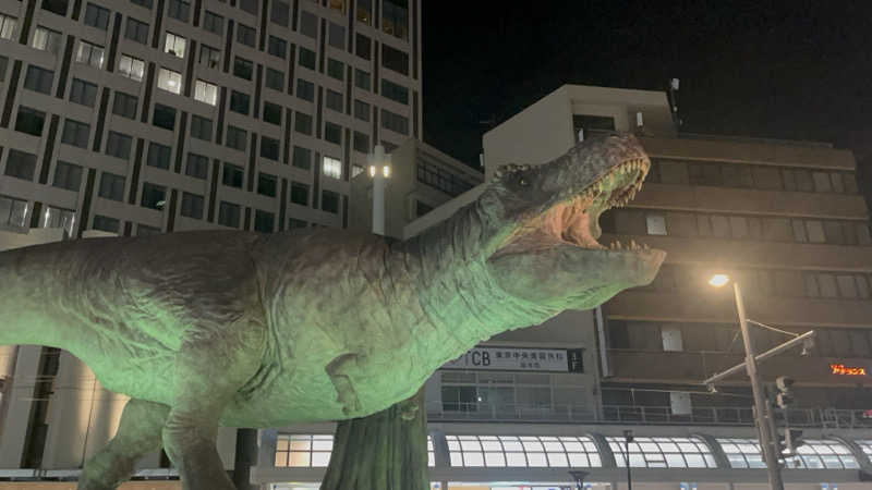 どらさんの羽二重の湯 ドーミーイン福井のサ活写真