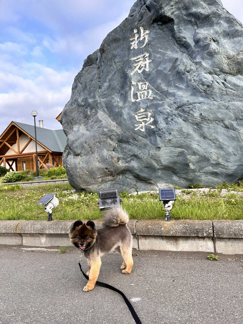 ぺっちんさんの新冠温泉 レ・コードの湯 ホテルヒルズのサ活写真