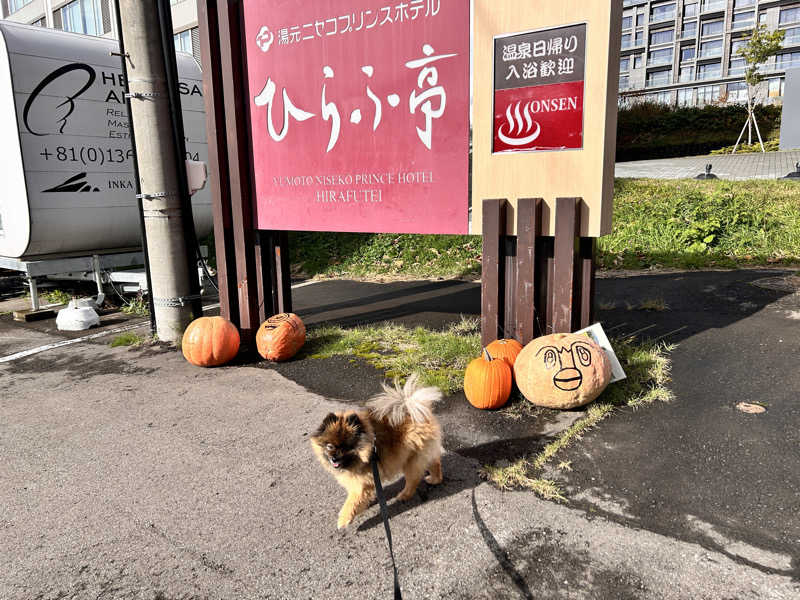 ぺっちんさんのひらふ亭のサ活写真