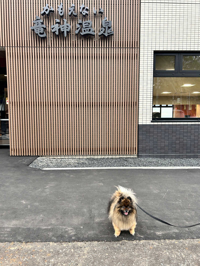 ぺっちんさんのかもえない竜神温泉のサ活写真