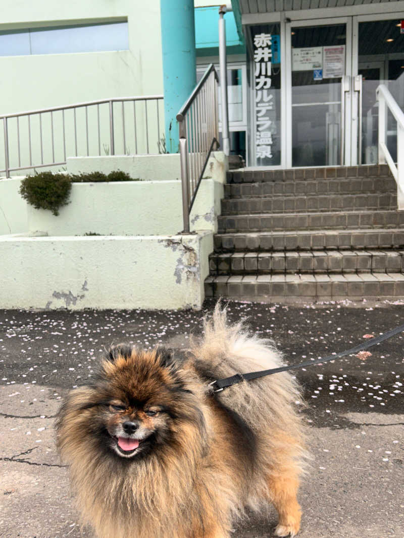 ぺっちんさんの赤井川カルデラ温泉・保養センターのサ活写真