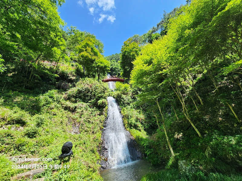 なまこマンさんの天然温泉 三峰のサ活写真