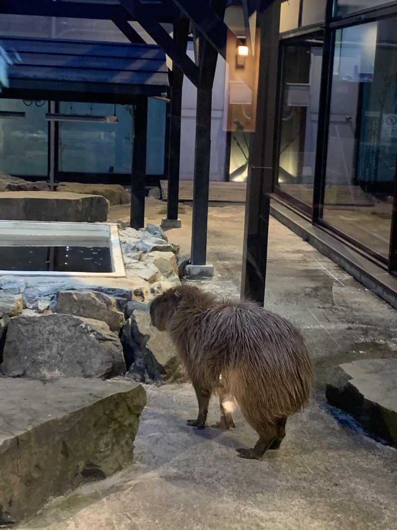 SAKE Publicさんの石狩天然温泉 番屋の湯のサ活写真