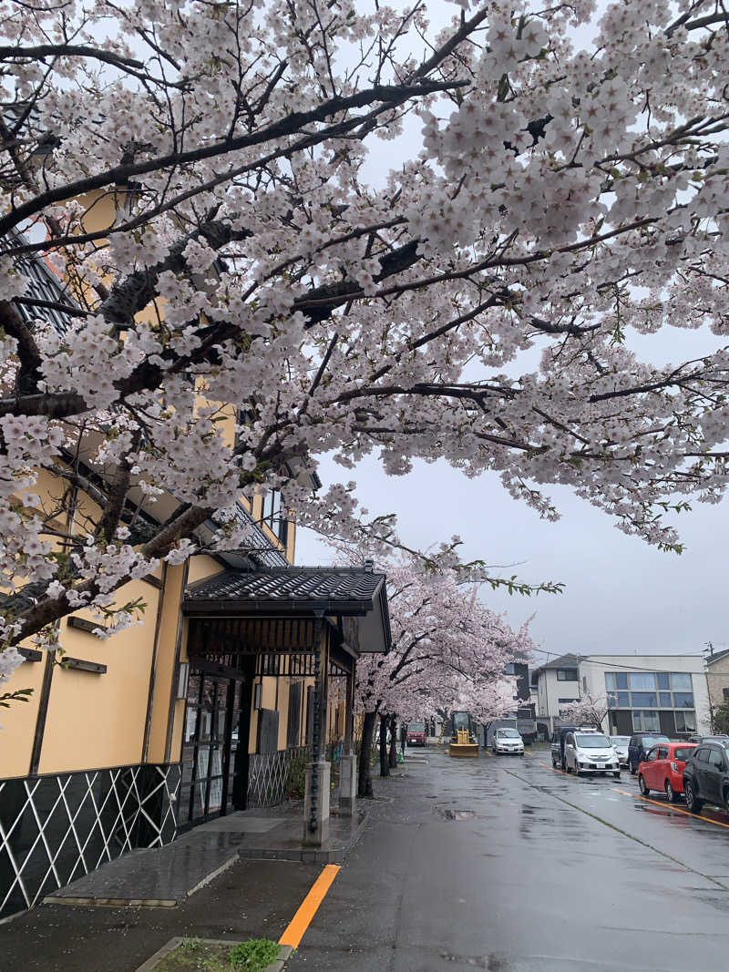 SAKE Publicさんの山の手温泉のサ活写真