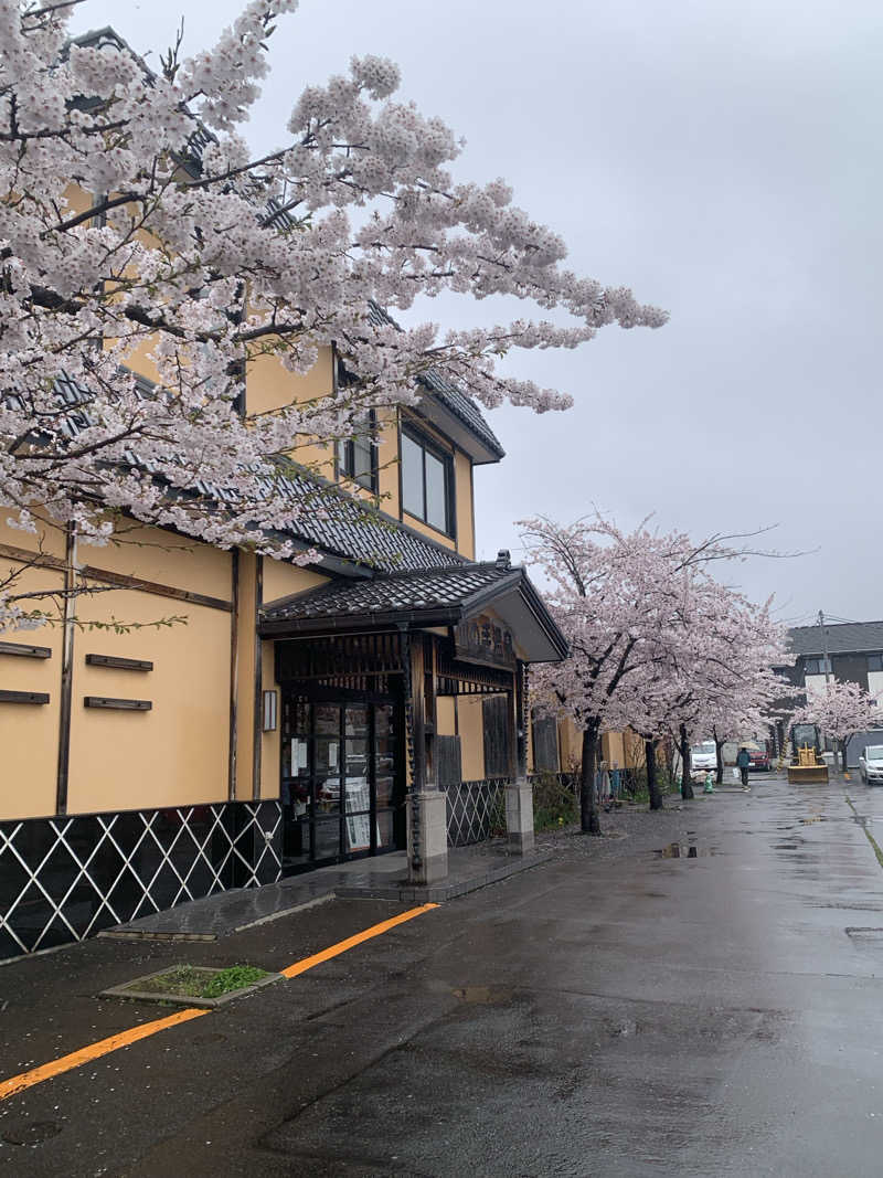 SAKE Publicさんの山の手温泉のサ活写真