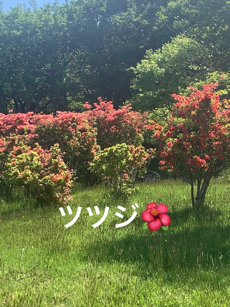 SAKE Publicさんのホテル恵風のサ活写真