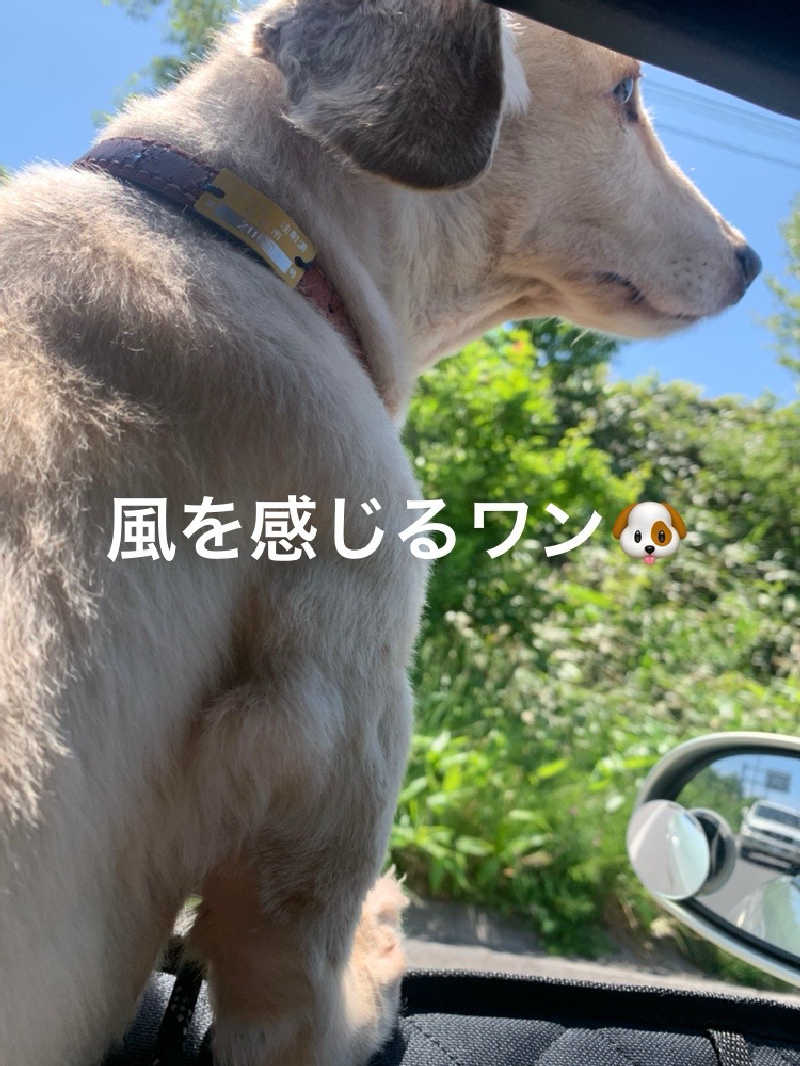 SAKE Publicさんのかもえない竜神温泉のサ活写真