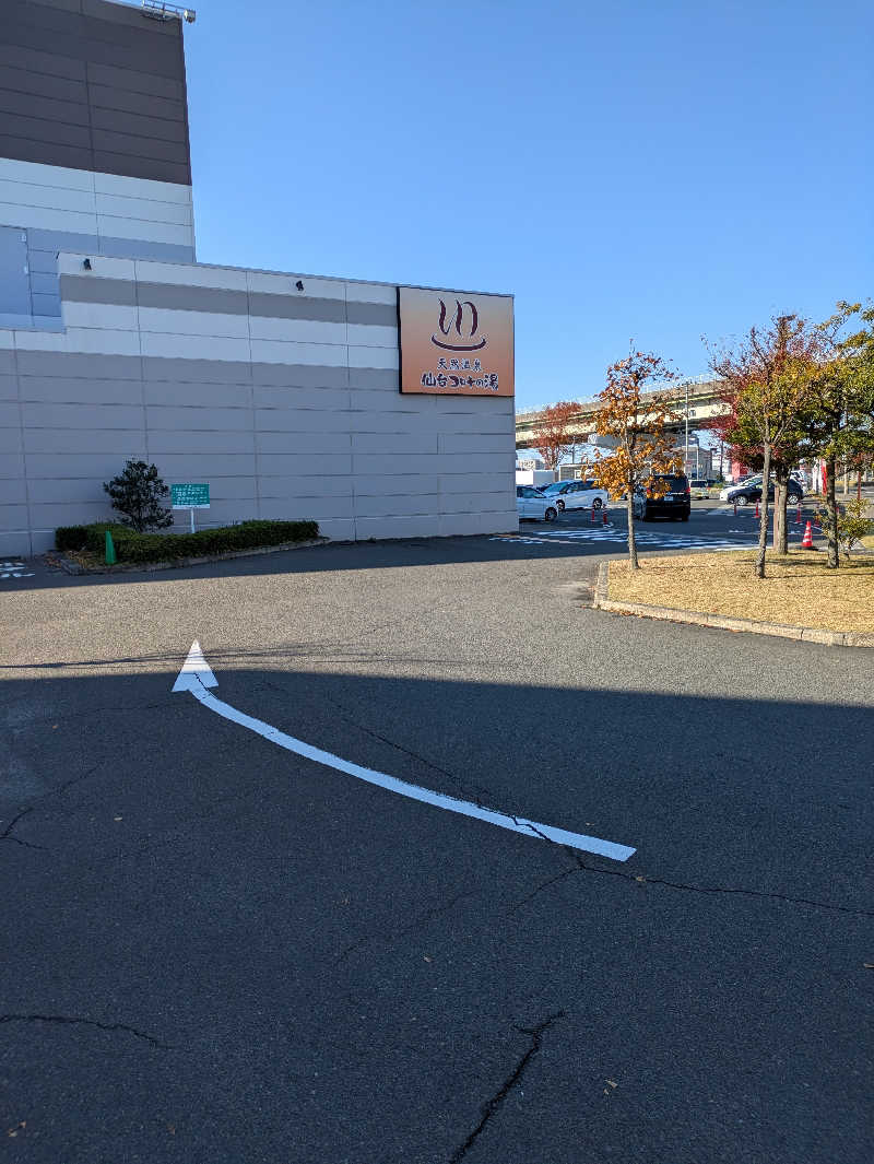 ストロングさんの天然温泉 仙台コロナの湯のサ活写真