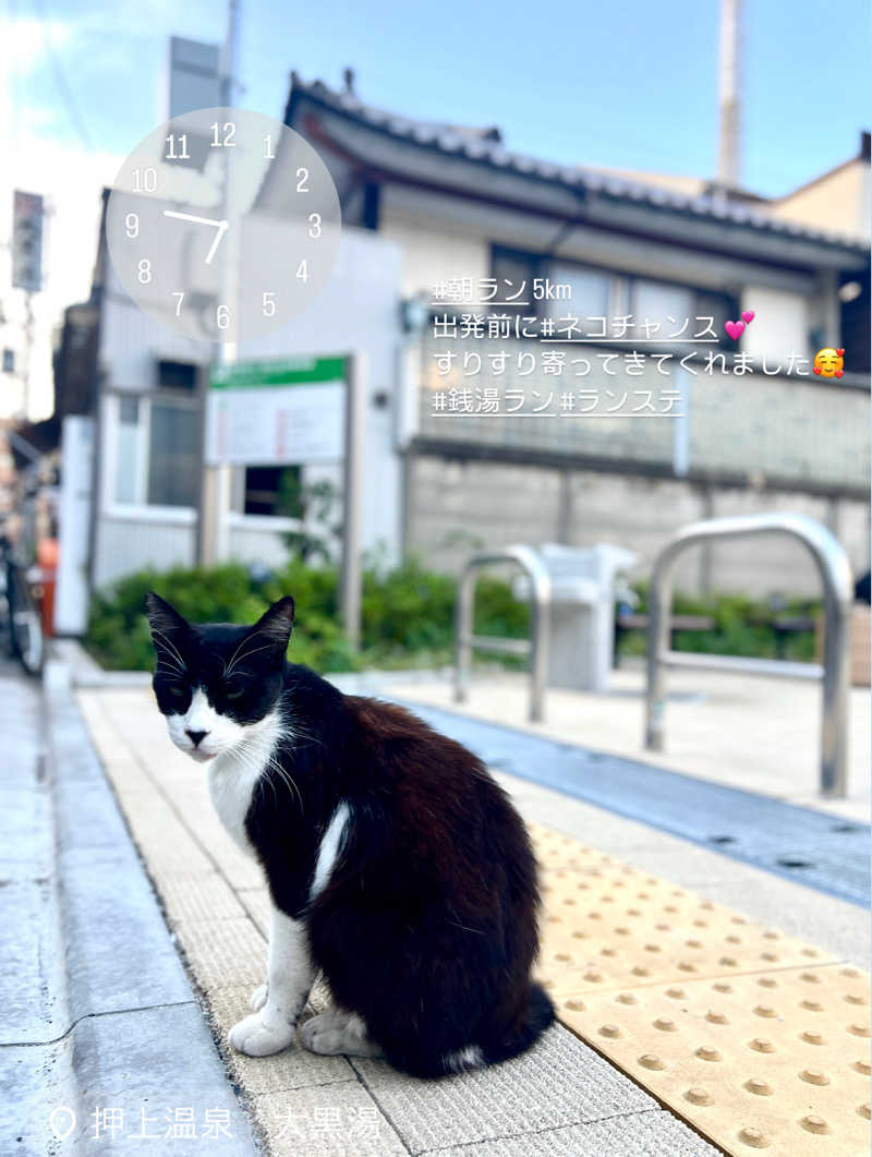 ニャカニシ🍛さんの押上温泉 大黒湯のサ活写真