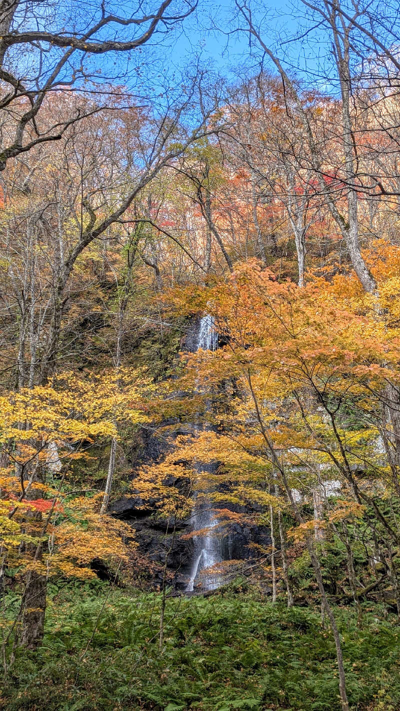 snowさんの十和田温泉のサ活写真