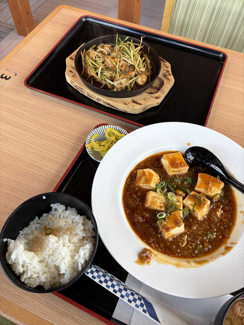 蒸しNさんの堺浜楽天温泉祥福のサ活写真
