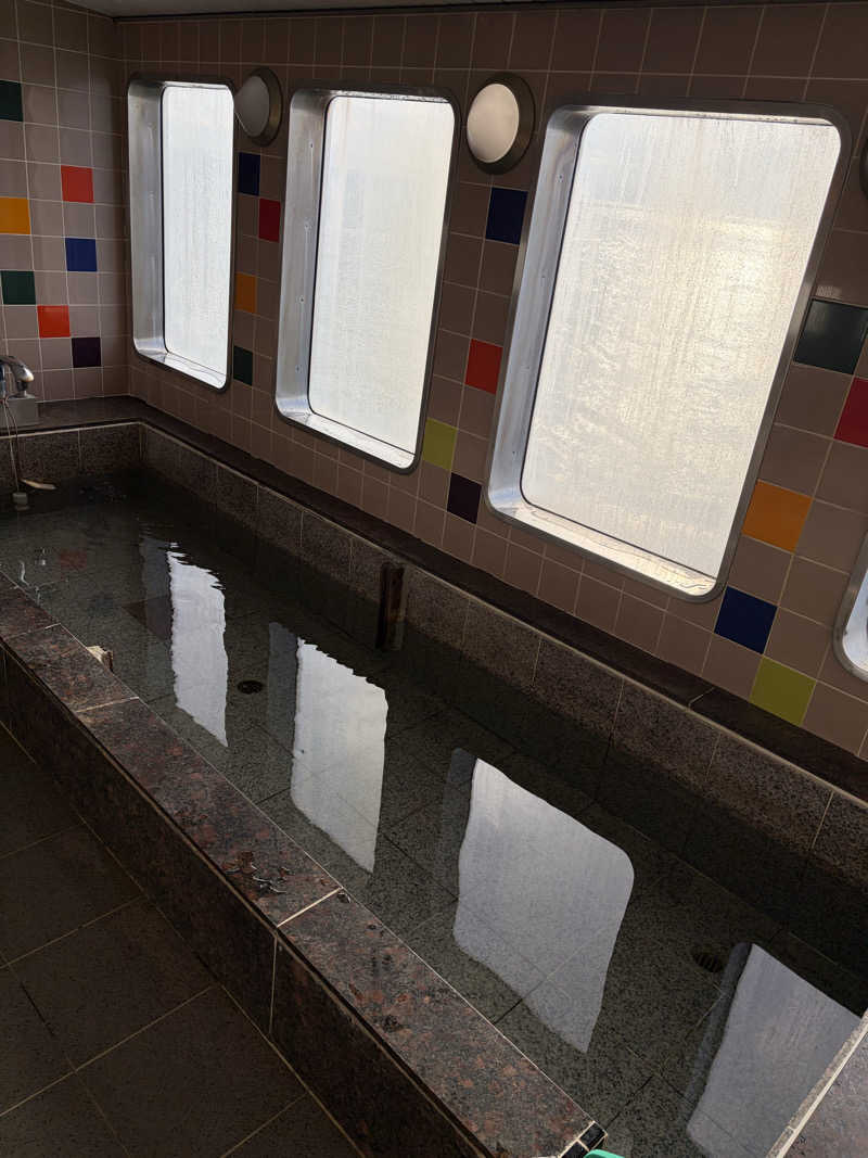 蒸しNさんのりつりん2 (ジャンボフェリー)のサ活写真