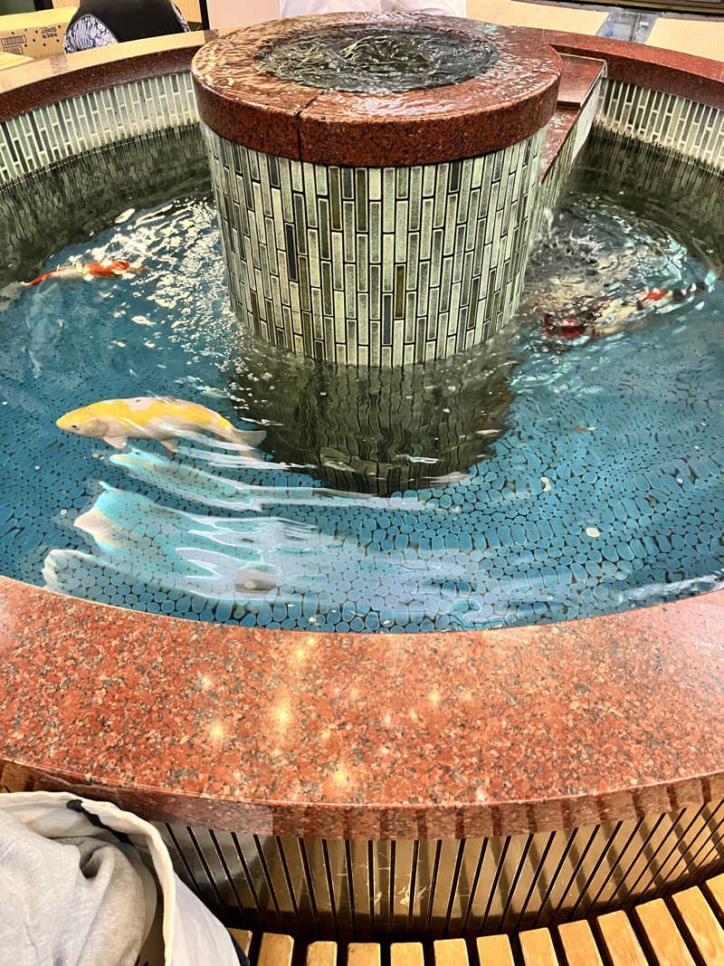 蒸し丸さんの夢の公衆浴場 五色のサ活写真