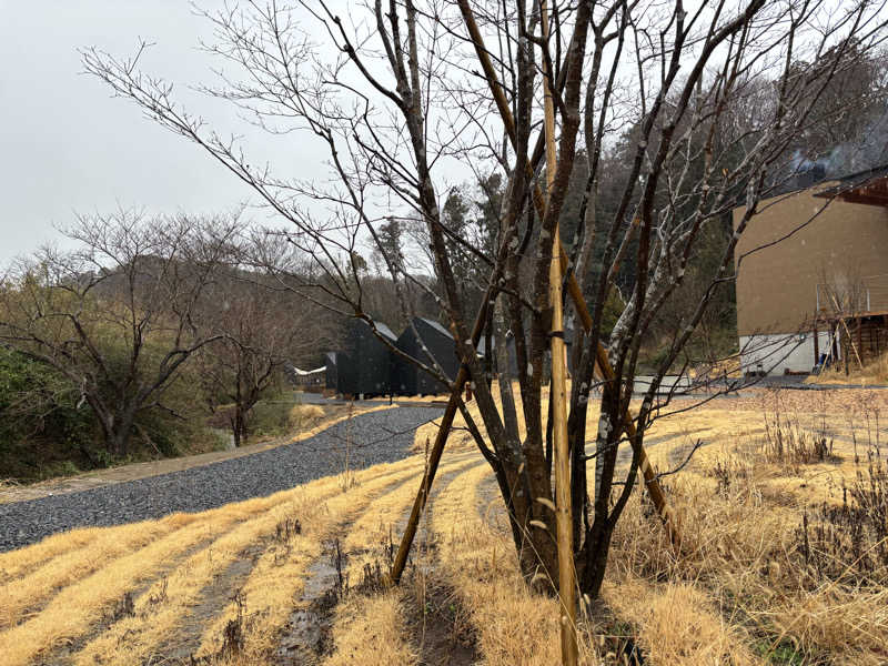 サウナパンツさんのSATOYAMA TERRACEのサ活写真