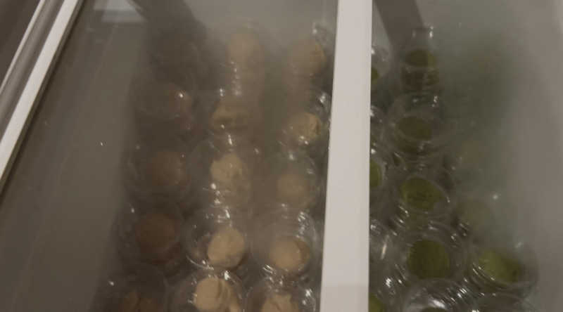 mizumizu12さんのふふ熱海のサ活写真