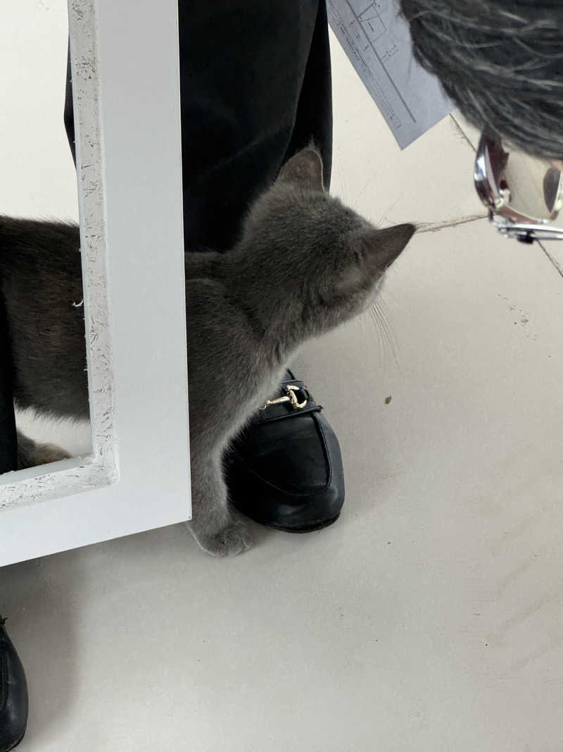 四次元⇆三次元さんの大連日航飯店(Hotel Nikko Dalian)のサ活写真