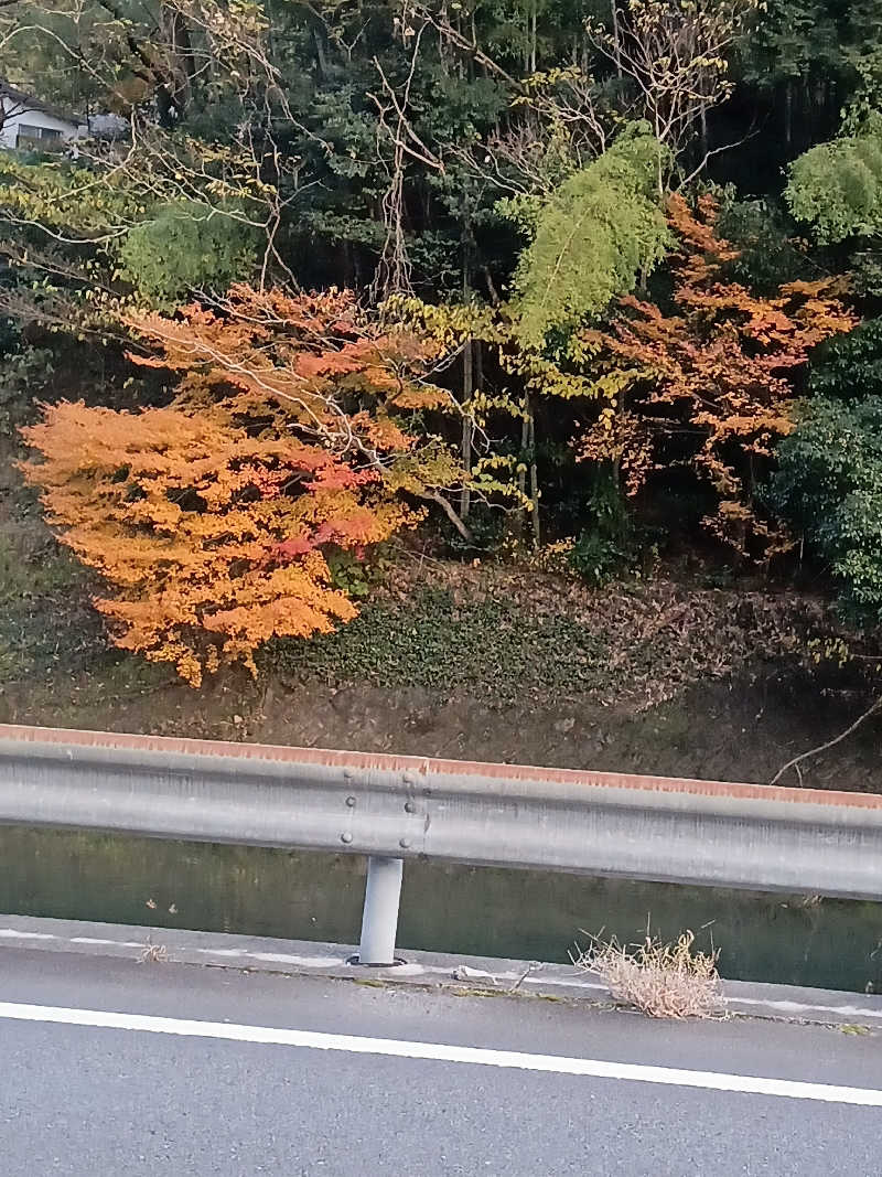 遅れてきたルーキー鹿児島nWoさんの境田温泉のサ活写真