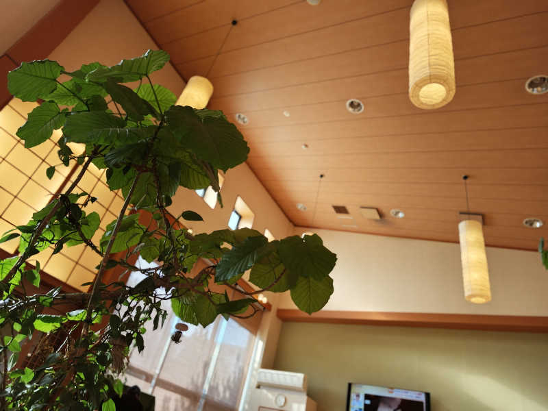 BuenaVistaSoshiranuClubさんの天然温泉 華の湯のサ活写真