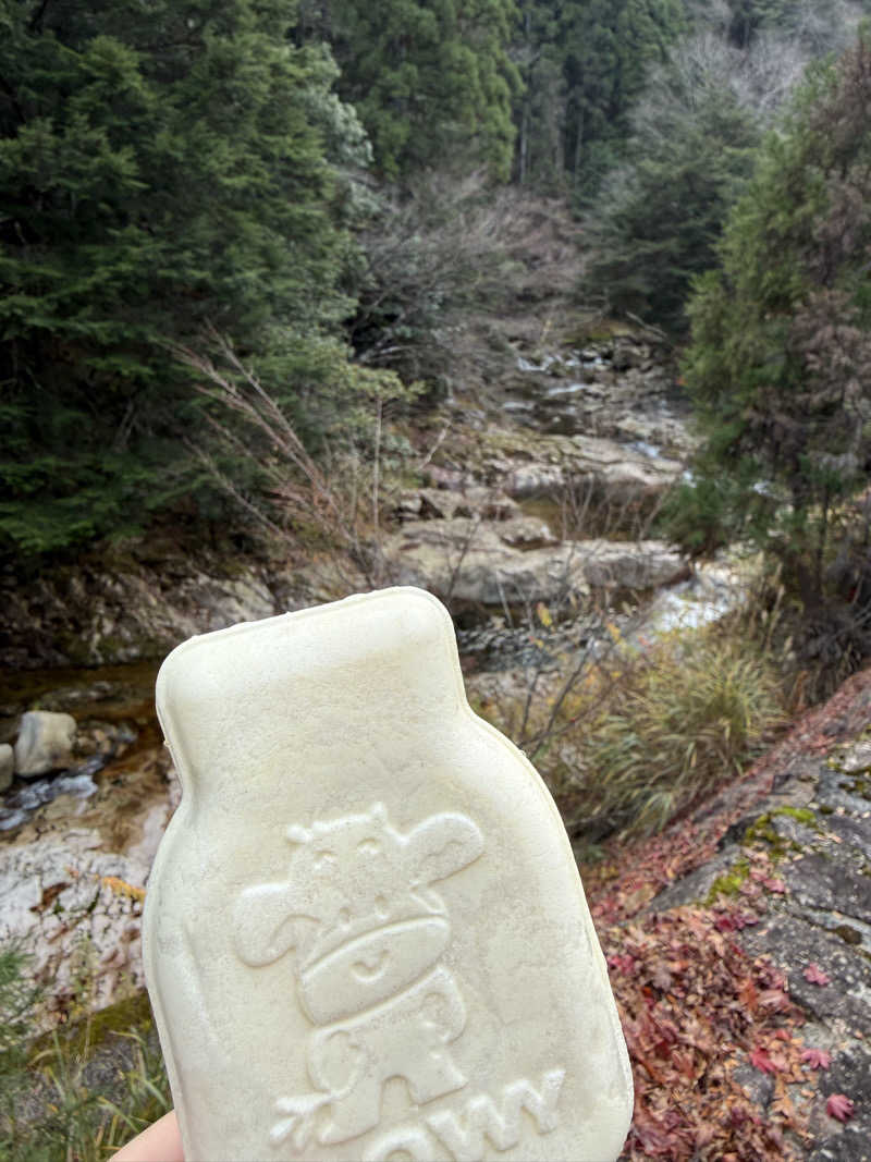 とーこさんの道の駅 スパ羅漢のサ活写真