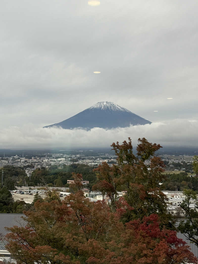 ウサさんの木の花の湯(HOTEL CLAD)のサ活写真