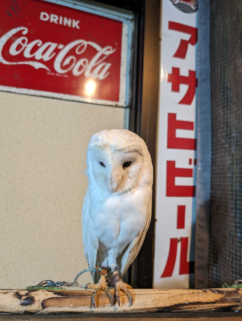 ドナウ川の漣さんの駿河健康ランドのサ活写真