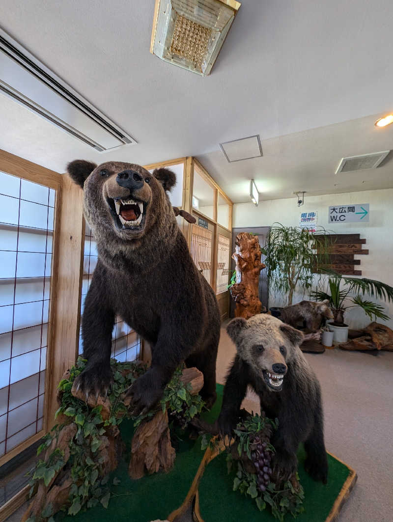 ドナウ川の漣さんの十勝岳温泉 凌雲閣のサ活写真