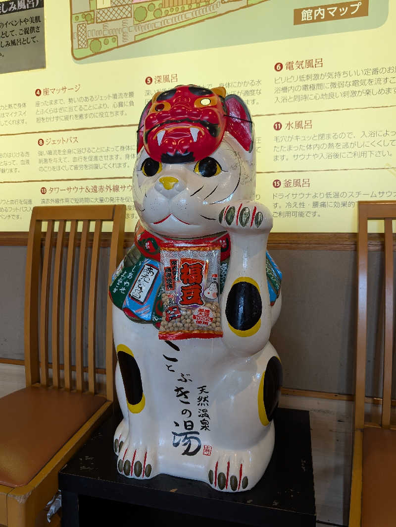 ドナウ川の漣さんの天然温泉 ことぶきの湯のサ活写真