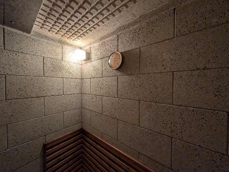 ドナウ川の漣さんのホテル ラブ 名古屋のサ活写真