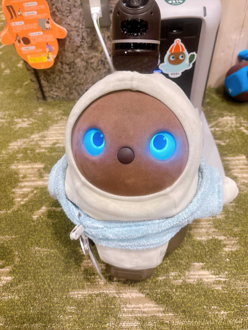 RaoさんのSPA&ごはん ゆるうむ yuluumuのサ活写真