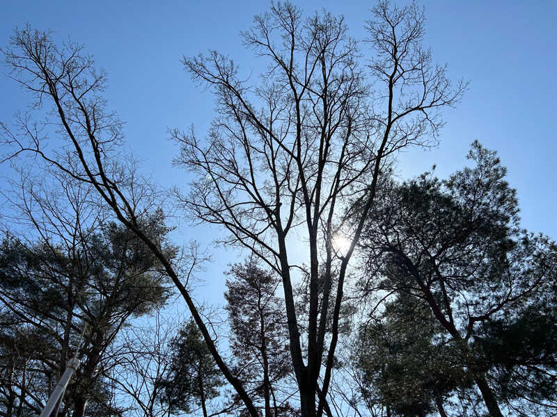 tsukuda_hoppyさんのSauna & Spa Green サウナ&スパ グリーン～愛宕山温泉～のサ活写真