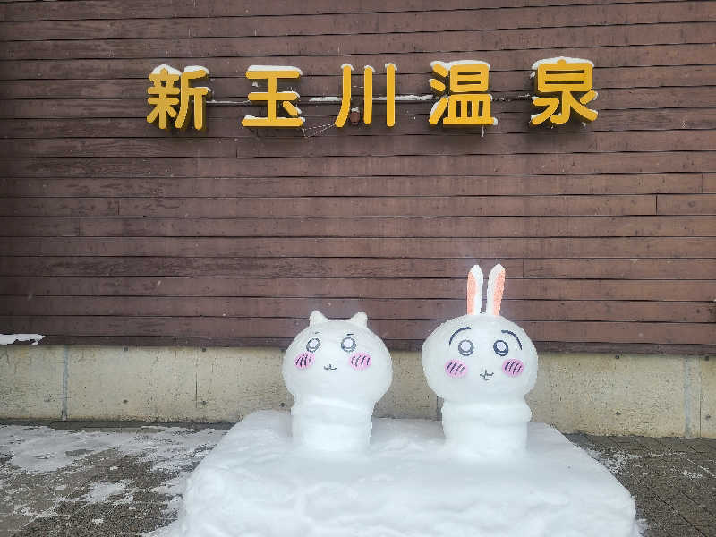 みさんの新玉川温泉のサ活写真