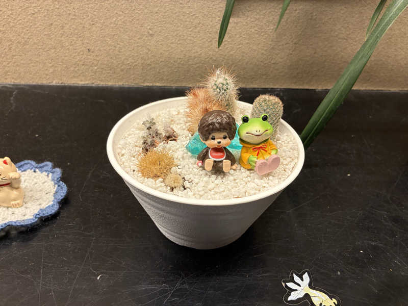 kagokimiさんの大江戸温泉物語 ながやまのサ活写真