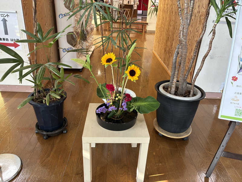 kagokimiさんの花の湯のサ活写真