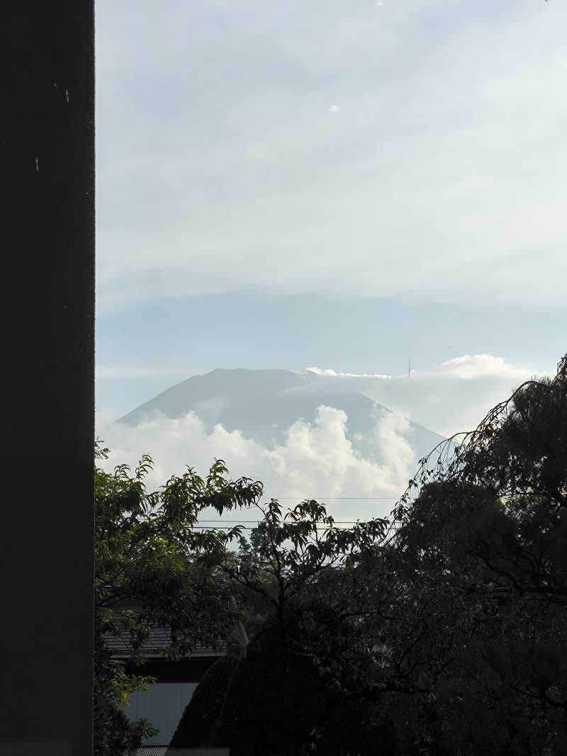 丼ちゃんさんの富士山の見える全室個室サウナ付旅館 しずくのサ活写真