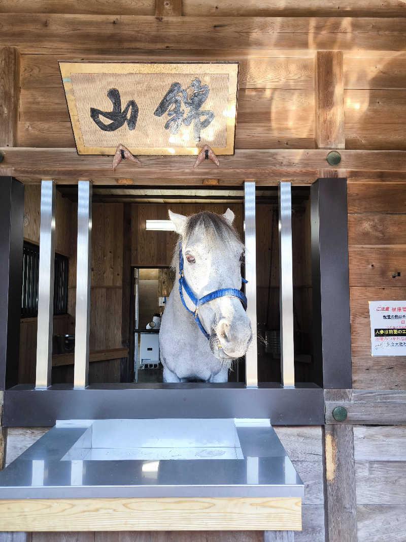 丼ちゃんさんの神馬の湯のサ活写真