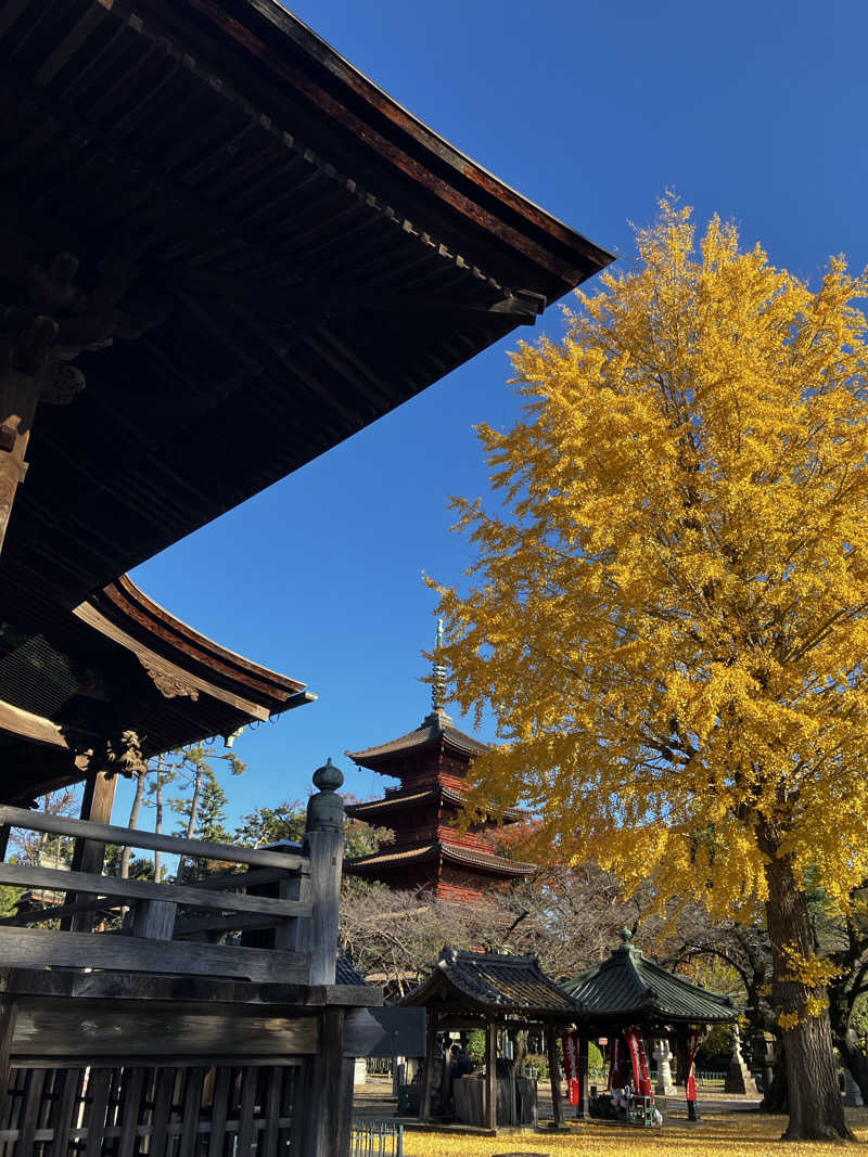 よもぎさんのサウナイン中山店のサ活写真