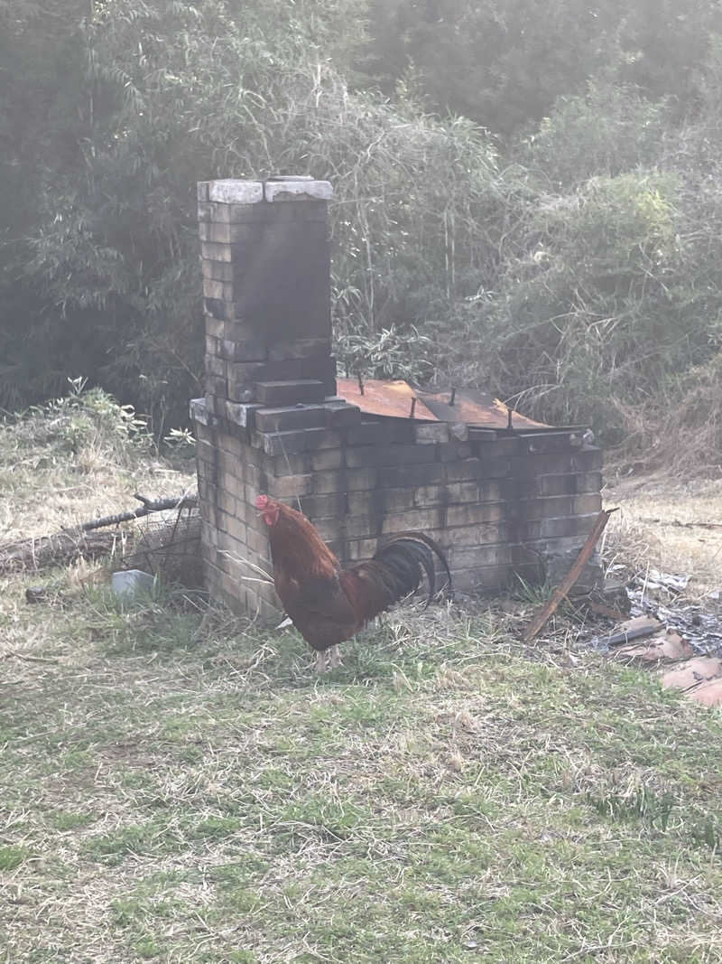 カミリンさんのsauna enのサ活写真