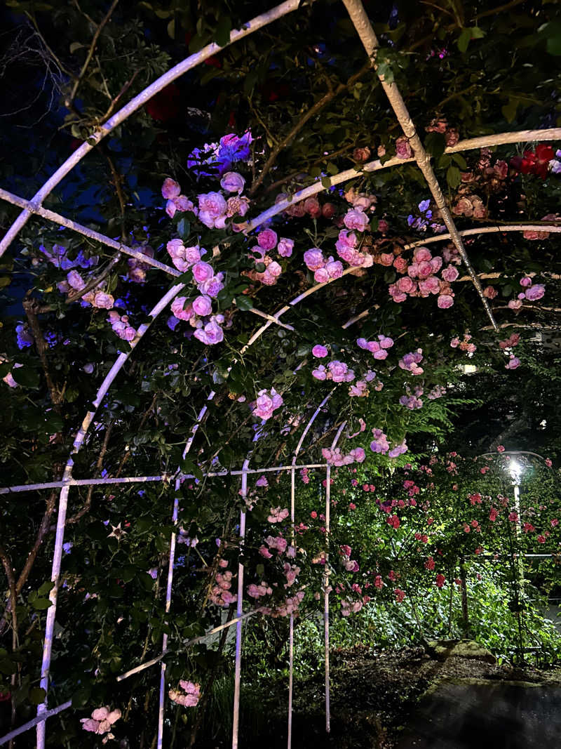 しょーやんさんの花巻温泉 ホテル花巻のサ活写真