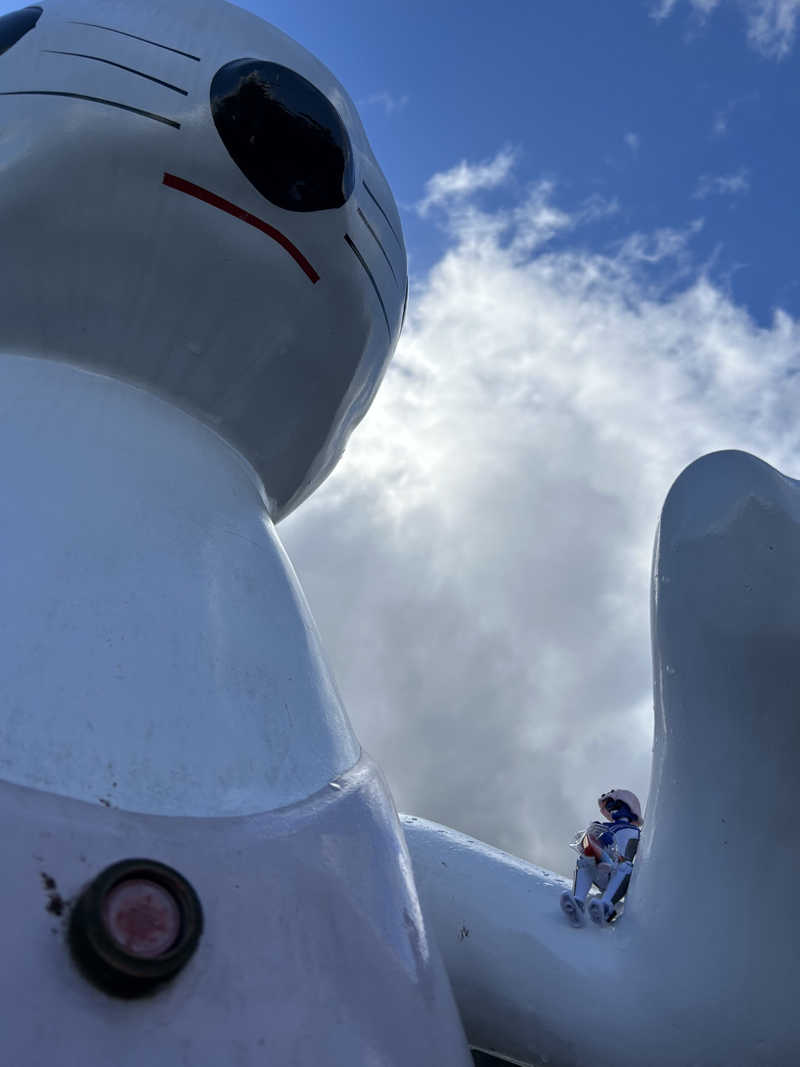 しょーやんさんの水沢温泉館のサ活写真