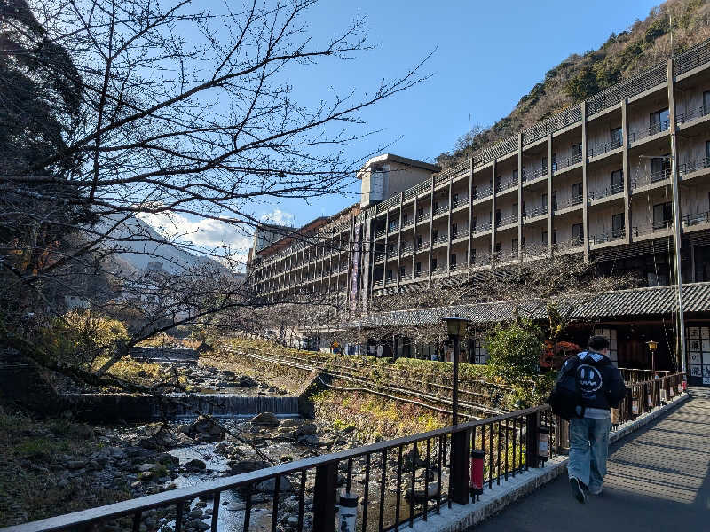 おベリさんの箱根湯本温泉 天成園のサ活写真