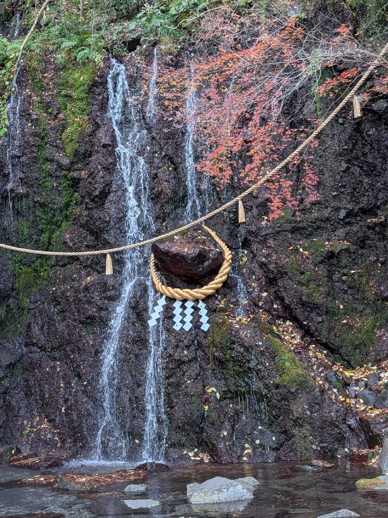 おベリさんの箱根湯本温泉 天成園のサ活写真