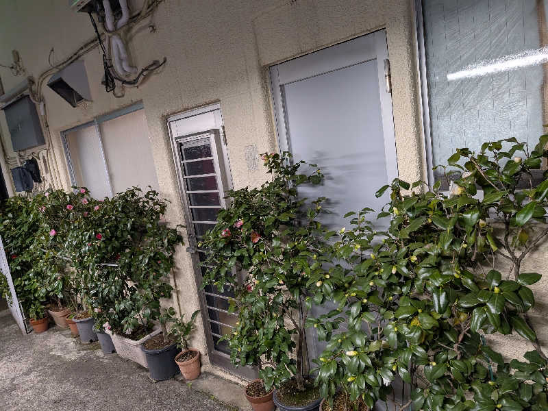 おベリさんの金の湯のサ活写真