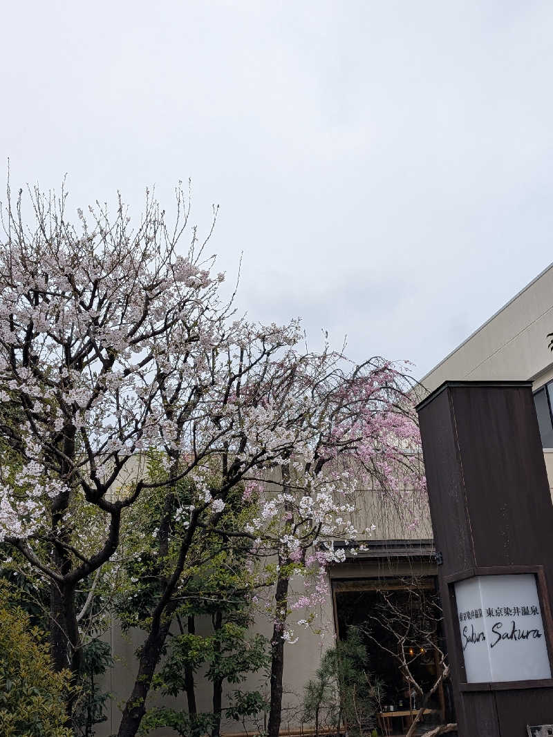 おベリさんの東京染井温泉 SAKURAのサ活写真