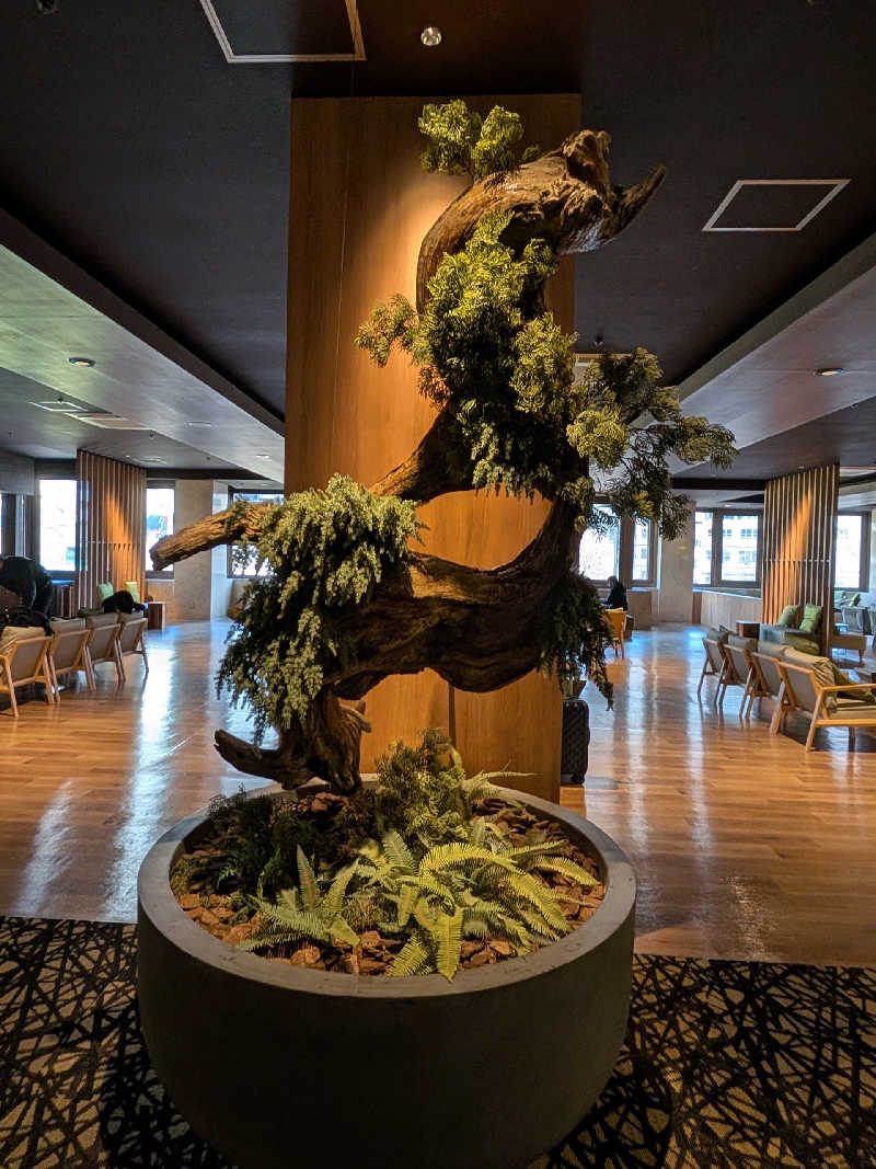 おベリさんの大江戸温泉物語Premium 鬼怒川観光ホテルのサ活写真