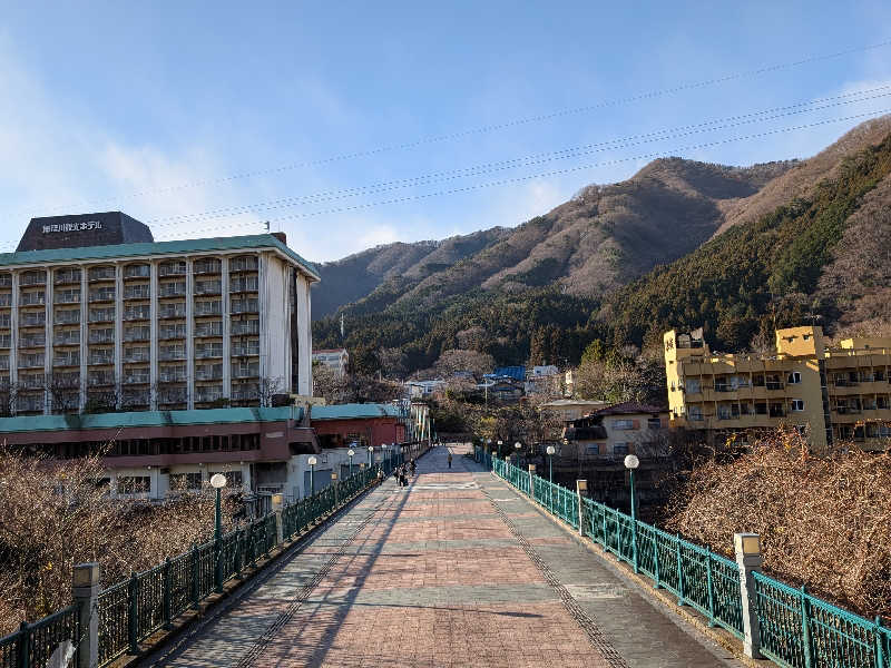 おベリさんの大江戸温泉物語Premium 鬼怒川観光ホテルのサ活写真