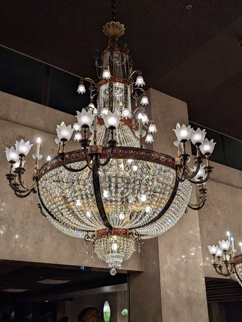 おベリさんの大江戸温泉物語Premium 鬼怒川観光ホテルのサ活写真