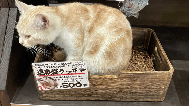 うらなしさんの行田・湯本天然温泉 茂美の湯のサ活写真