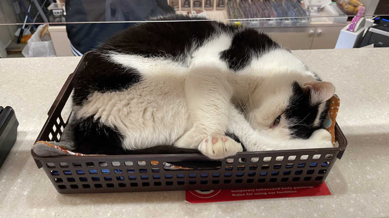 うらなしさんの行田・湯本天然温泉 茂美の湯のサ活写真